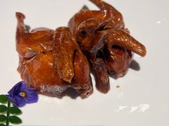 红烧乳鸽-炳胜品味(海印总店)