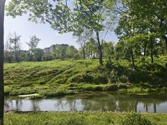 -两河城市森林公园