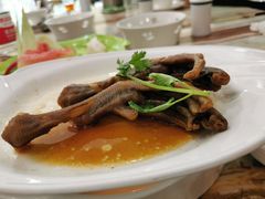 潮式卤鹅掌-椿记烧鹅(叠彩店)