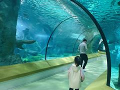 -福州罗源湾海洋世界旅游区