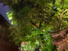 -乌镇枕水度假酒店