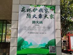 -广州白江湖森林公园