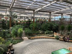 -南宫五洲植物乐园