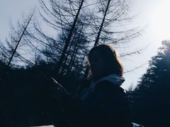 -秦岭风景区