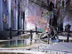 -长白山聚龙火山温泉