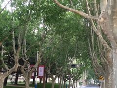 -大连理工大学(凌水校区)