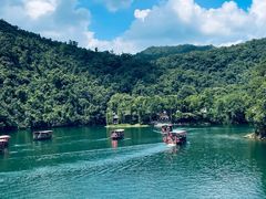 -鼎湖山风景区
