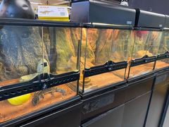 -宠物世家(仲盛世界商城店)