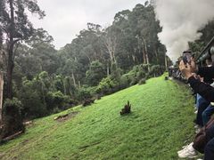 -普芬比利蒸汽火车