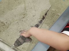 -上海海洋水族馆