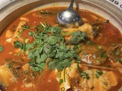 -魏铭鱼头捞饭(晋阳路店)