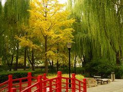 -玲珑塔公园