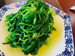 -呼吸森林·生态农庄农家乐私房菜