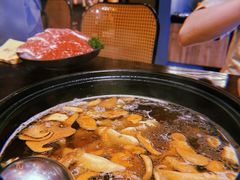 -滇野云南野生菌餐厅(陕西南路店)