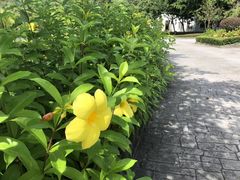 -新明记饭店