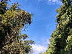 -同里国家湿地公园