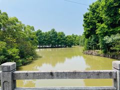 -上海海湾国家森林公园