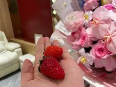 -凯德MALL(望京店)