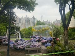 -徽园