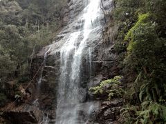 -九龙江国家森林公园