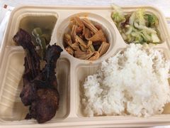 -都江堰中华大熊猫苑