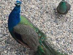 -南京金牛湖风景区