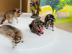 -陕西自然博物馆