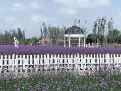 -渔岛海洋度假区