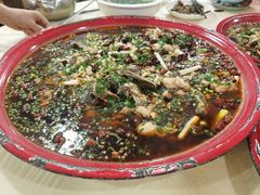 -东吴霸王兔(松青路店)