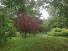 -国家植物园南园