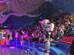 -烟台海昌鲸鲨海洋公园