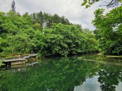-阿哈湖国家湿地公园