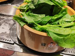 三七菜-龍歌自助小火锅(市南金茂湾店)