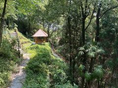 -南山植物园