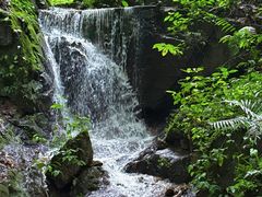 -莫里热带雨林景区