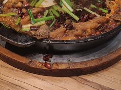 -老板恋上鱼(印象城店)