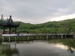 -苏州上方山国家森林公园