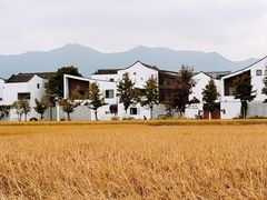 -东梓关景区村庄