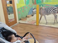 -麒麟中餐厅·经典粤菜·地道菜式老字号(广州长隆酒店)