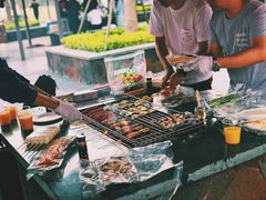 -春花秋色城市公园