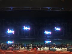 -三亚红色娘子军演艺公园景区