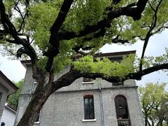 -江心屿景区