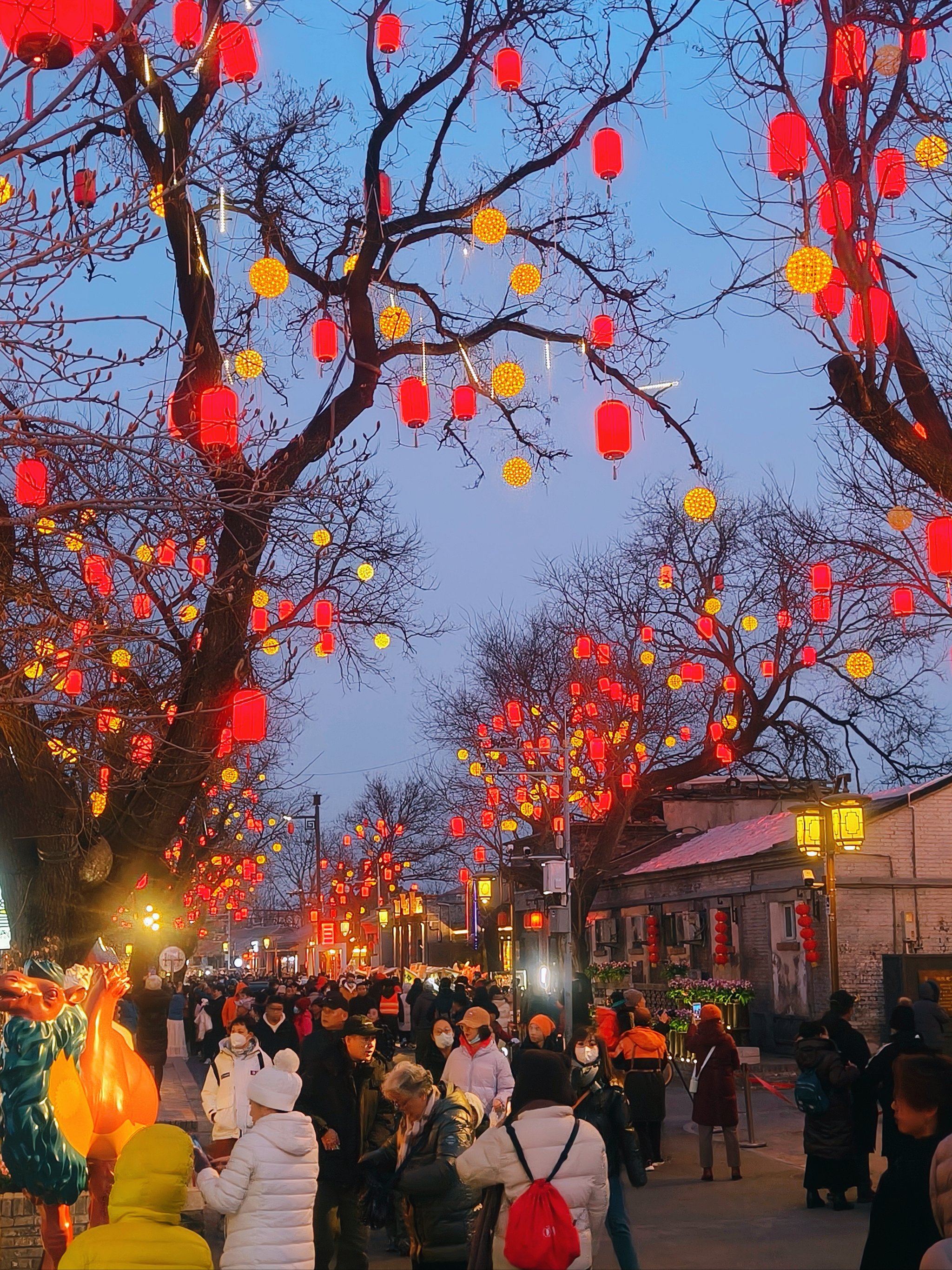 北京元宵节赏灯图片