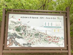 -北京鹫峰国家森林公园
