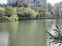-四海公园(南山区)