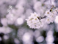 -玉山公园