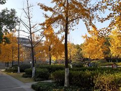 -杭州城北体育公园