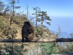-峨眉山风景名胜区