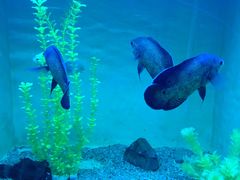 -常州海昌海洋探索馆
