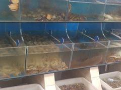 -宾朋海鲜特色美食餐厅·纯手工鲅鱼水饺(兴海路店)